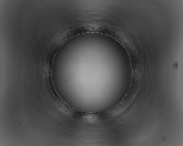 X0000090420561200707131211