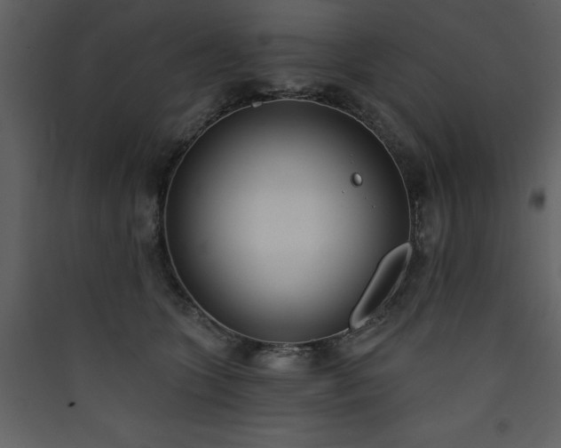 X0000090420563200707131211