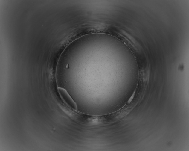 X0000090420564200707131211