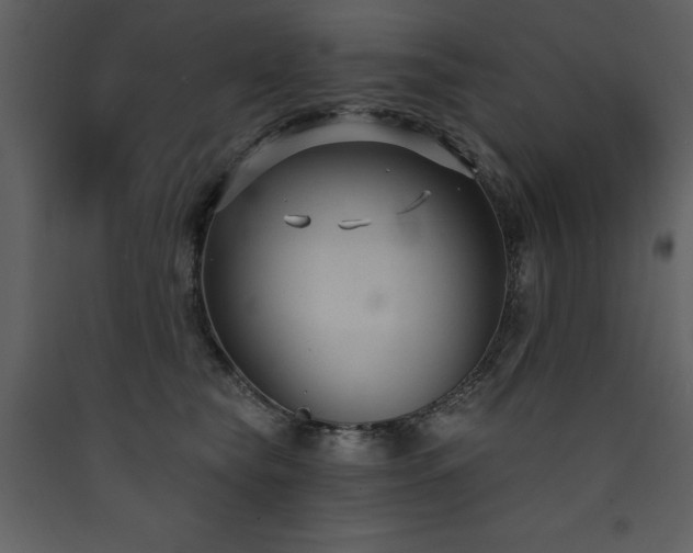 X0000090420565200707131211