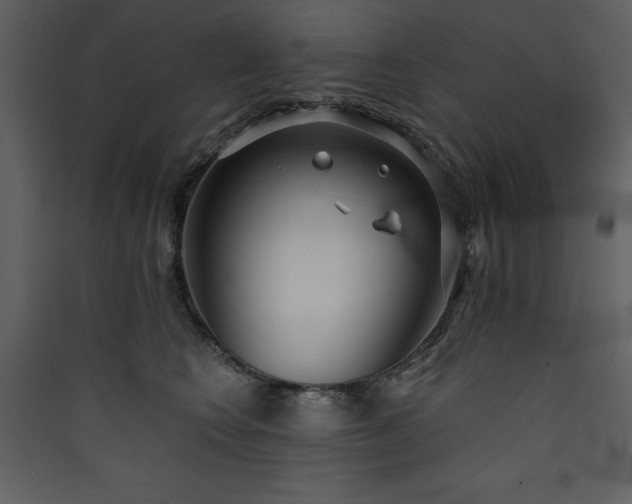 X0000090420566200707131211