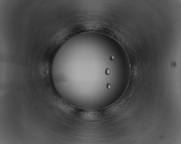 X0000090420567200707131211