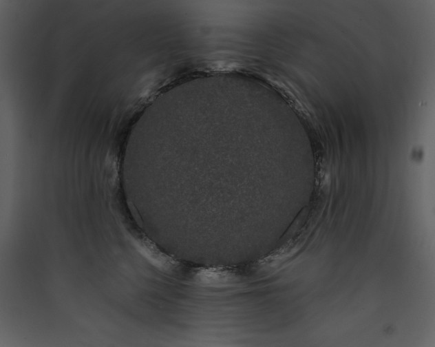 X0000090420568200707131211