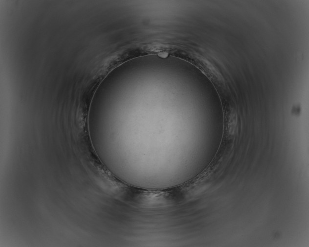 X0000090420569200707131211