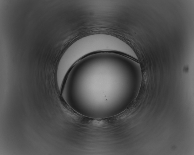 X0000090420570200707131211