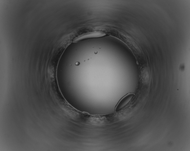 X0000090420571200707131211
