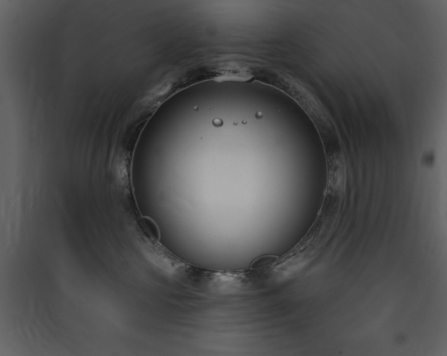 X0000090420573200707131211