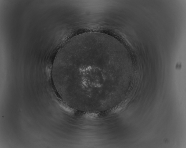 X0000090420576200707131211