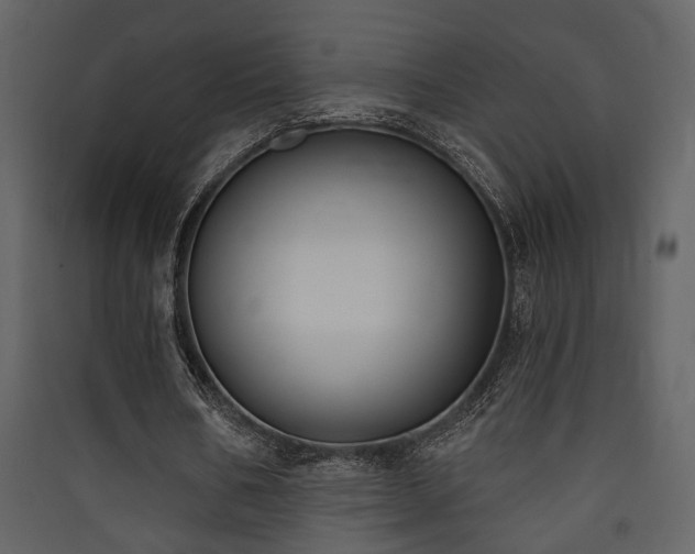 X0000090420578200707131210