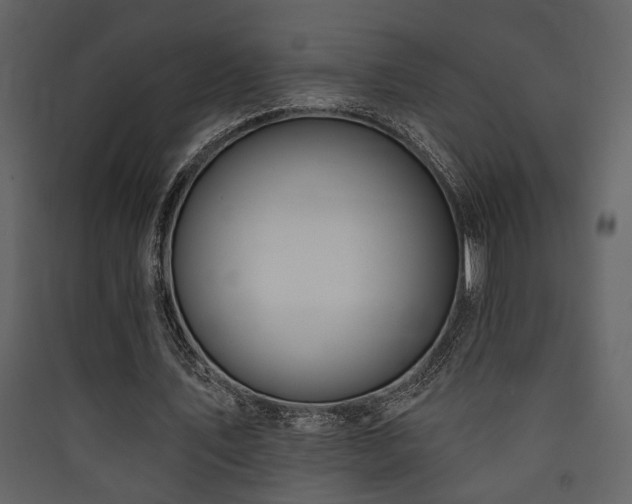 X0000090420579200707131210