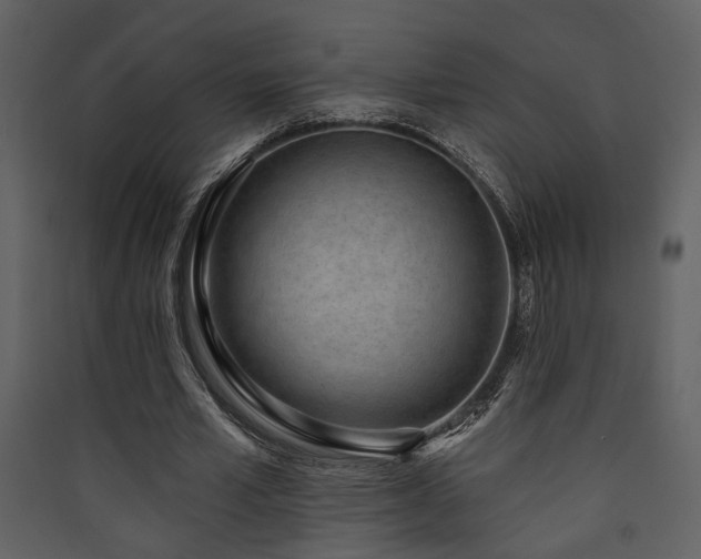 X0000090420581200707131210