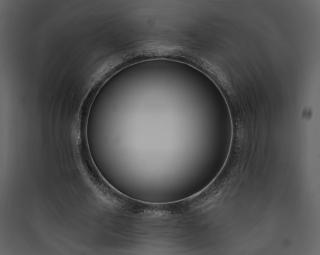 X0000090420582200707131210