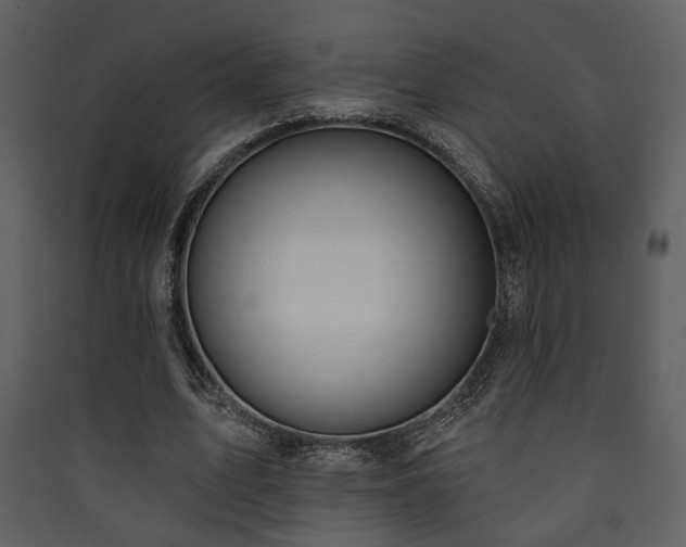 X0000090420583200707131210