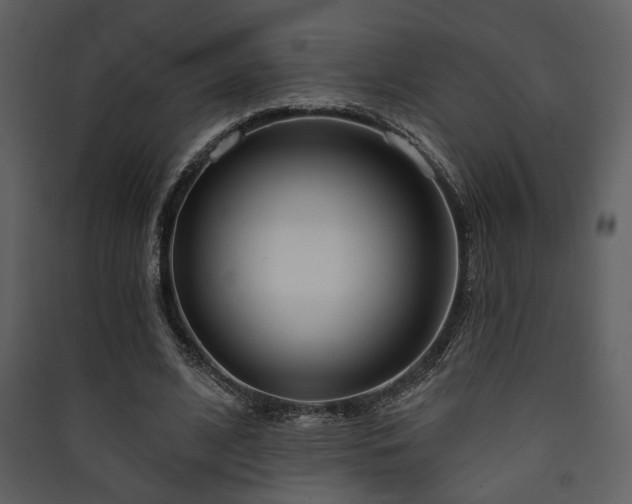 X0000090420584200707131210