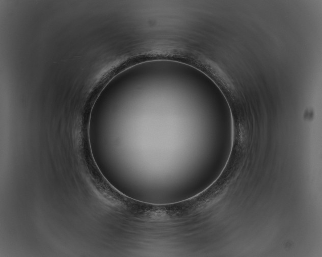X0000090420588200707131210