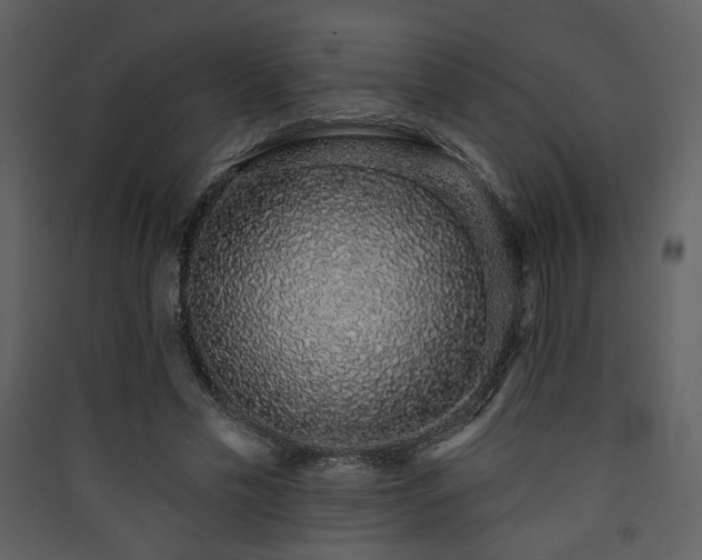 X0000090420589200707131210