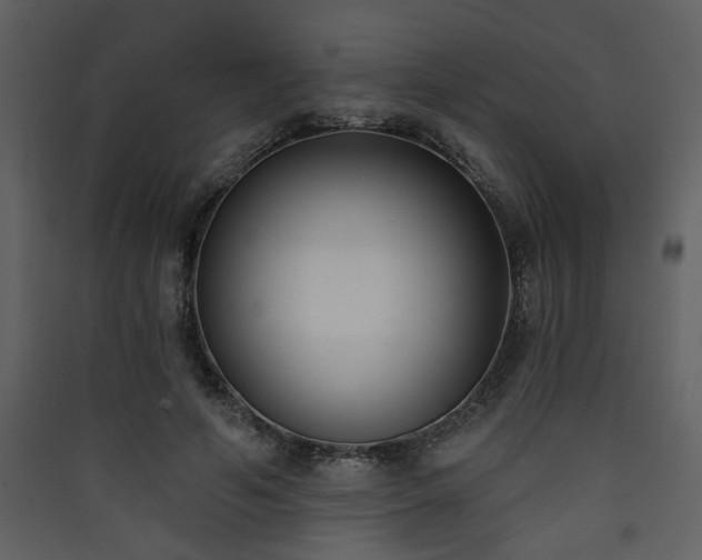 X0000090420594200707131210