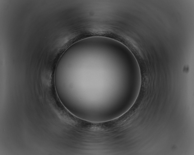 X0000090420596200707131210