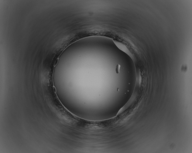 X0000090420597200707131210