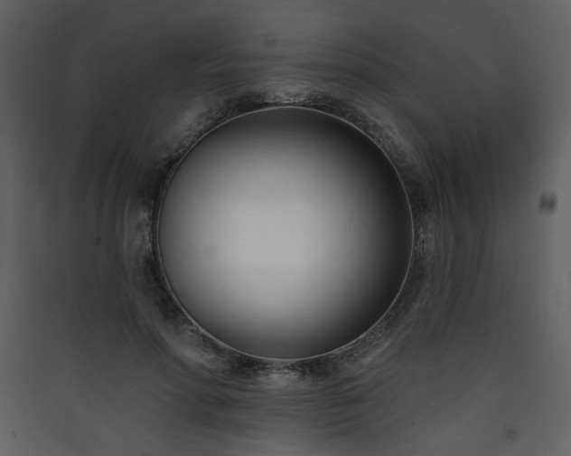 X0000090420598200707131210