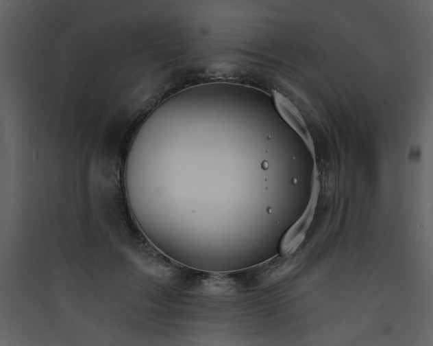 X0000090420603200707131210