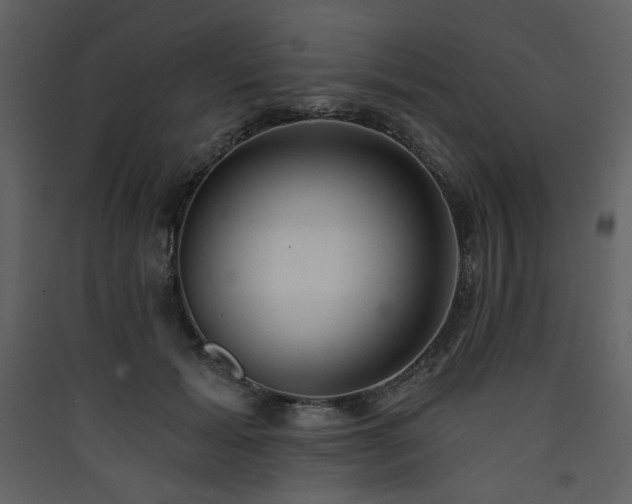 X0000090420605200707131210