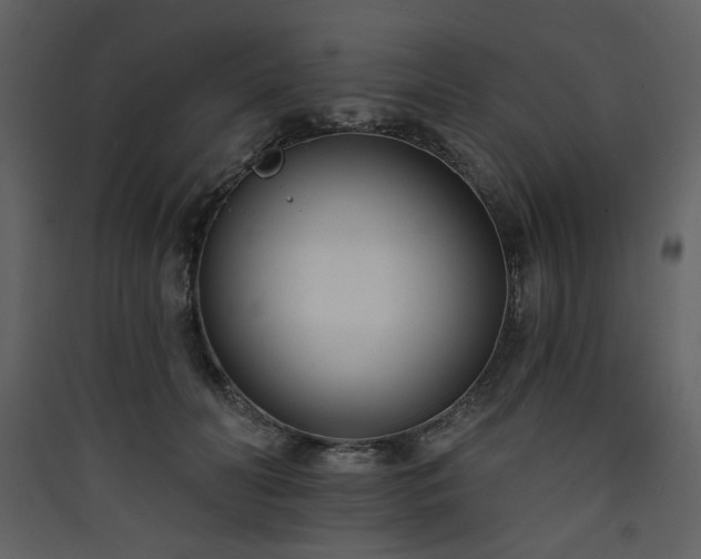 X0000090420606200707131210