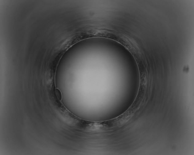 X0000090420607200707131210
