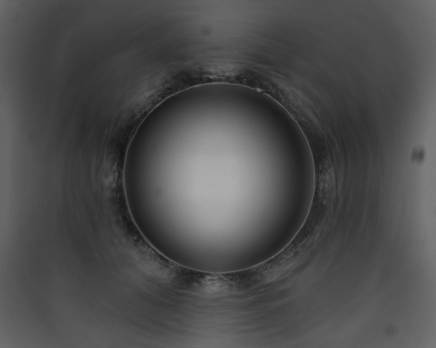 X0000090420608200707131210