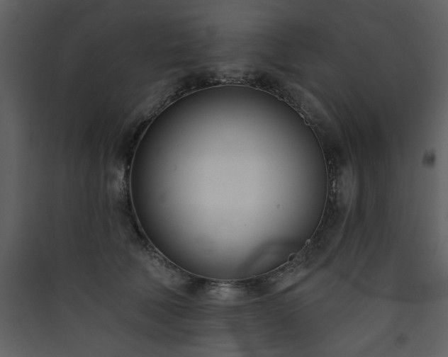 X0000090420610200707131210
