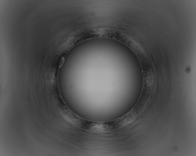X0000090420611200707131210
