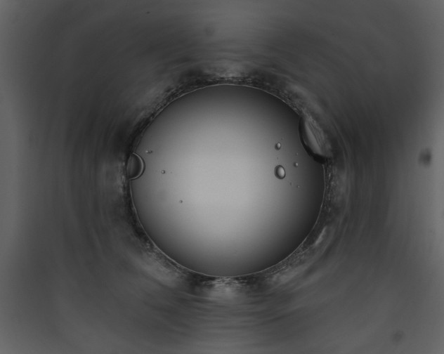X0000090420612200707131210