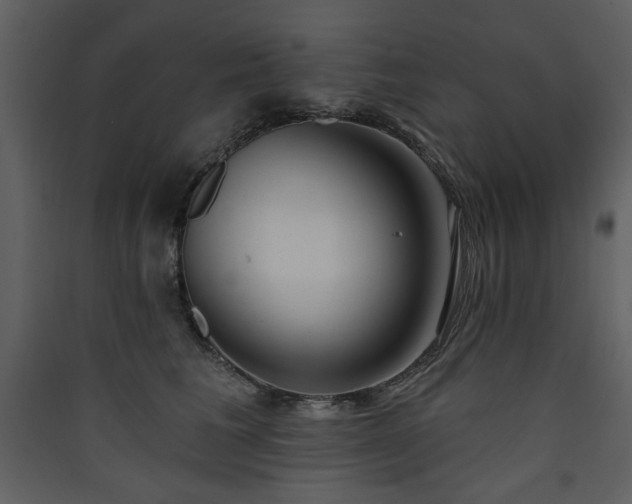 X0000090420613200707131210