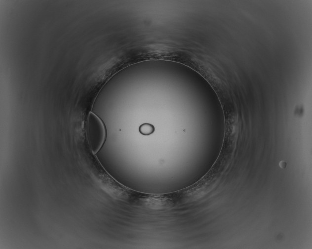 X0000090420615200707131210