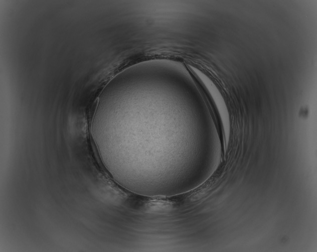 X0000090420617200707131210