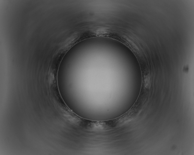 X0000090420618200707131210