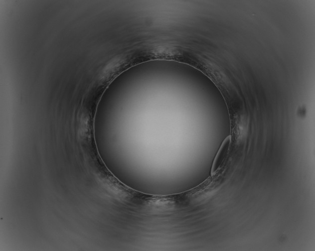 X0000090420619200707131210