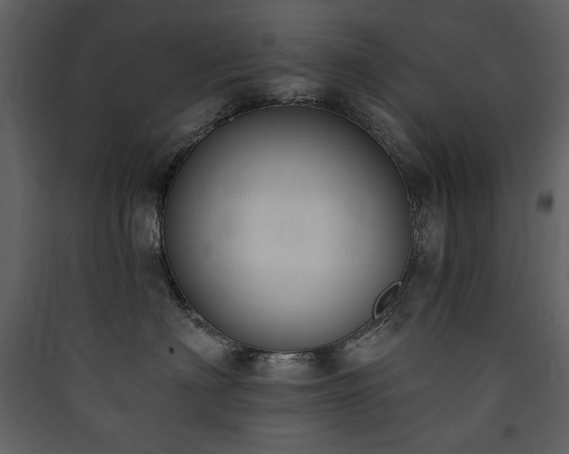 X0000090420622200707131210