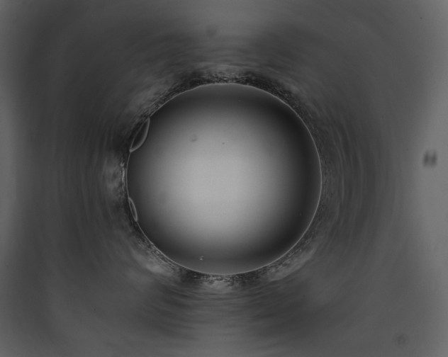 X0000090420624200707131210