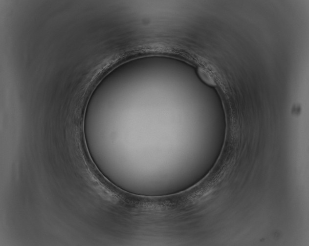 X0000090420625200707131209