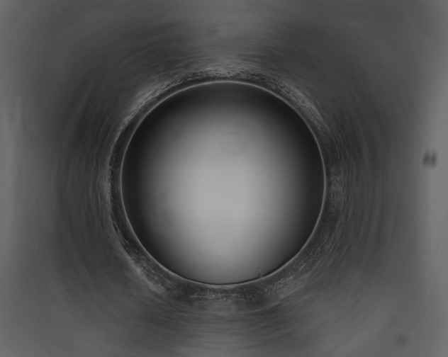 X0000090420626200707131209