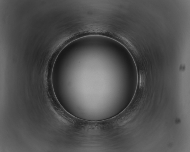 X0000090420627200707131209