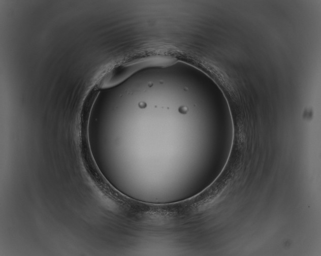 X0000090420630200707131209