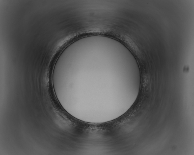 X0000090420632200707131209