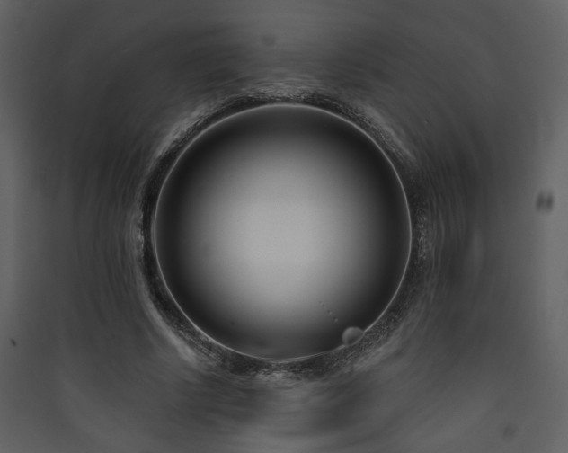 X0000090420634200707131209