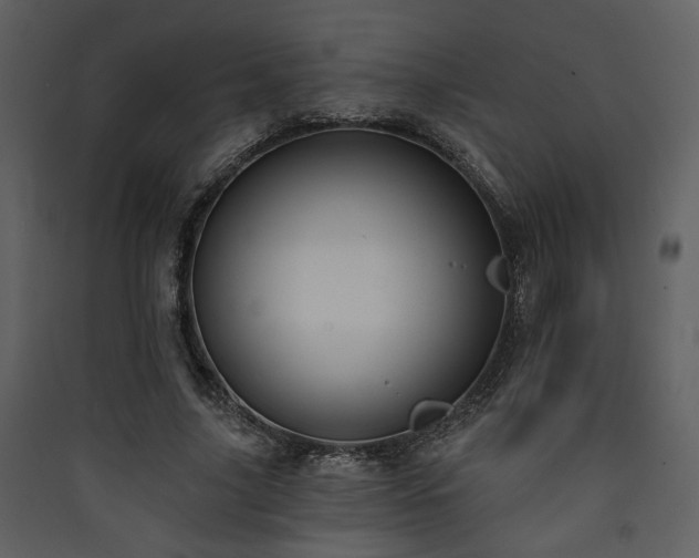 X0000090420635200707131209