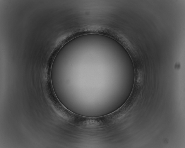 X0000090420636200707131209