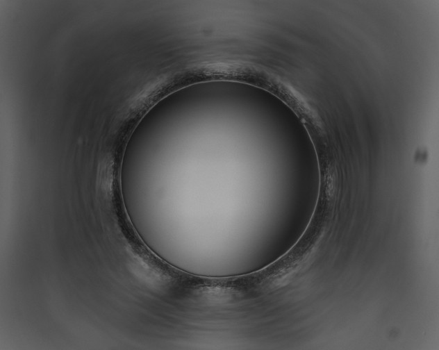 X0000090420637200707131209