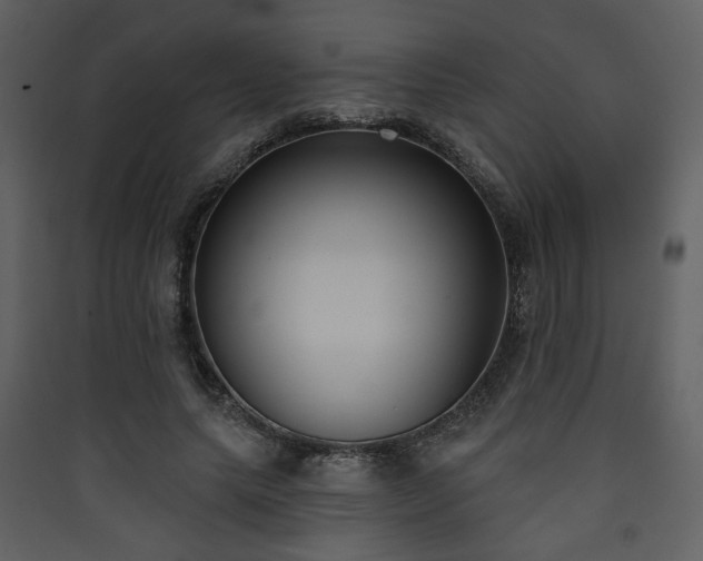 X0000090420639200707131209