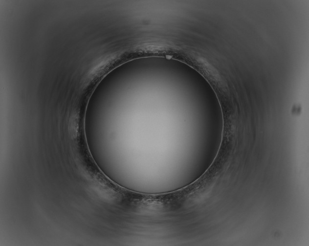 X0000090420640200707131209